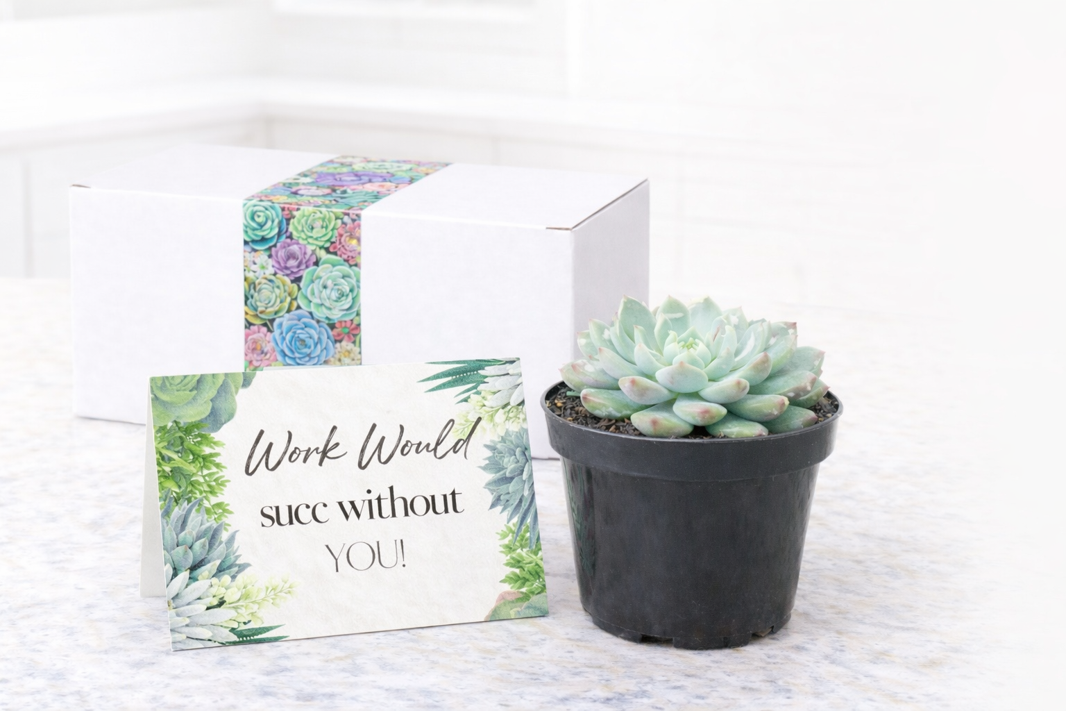 Single Work Would Succ.png