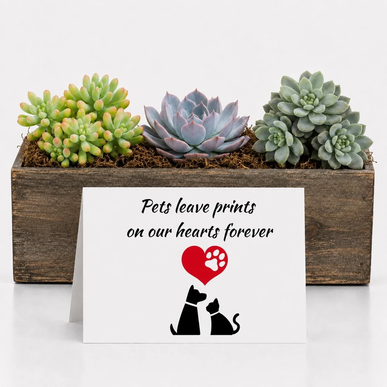 Arrangement Pet Prints.jpg