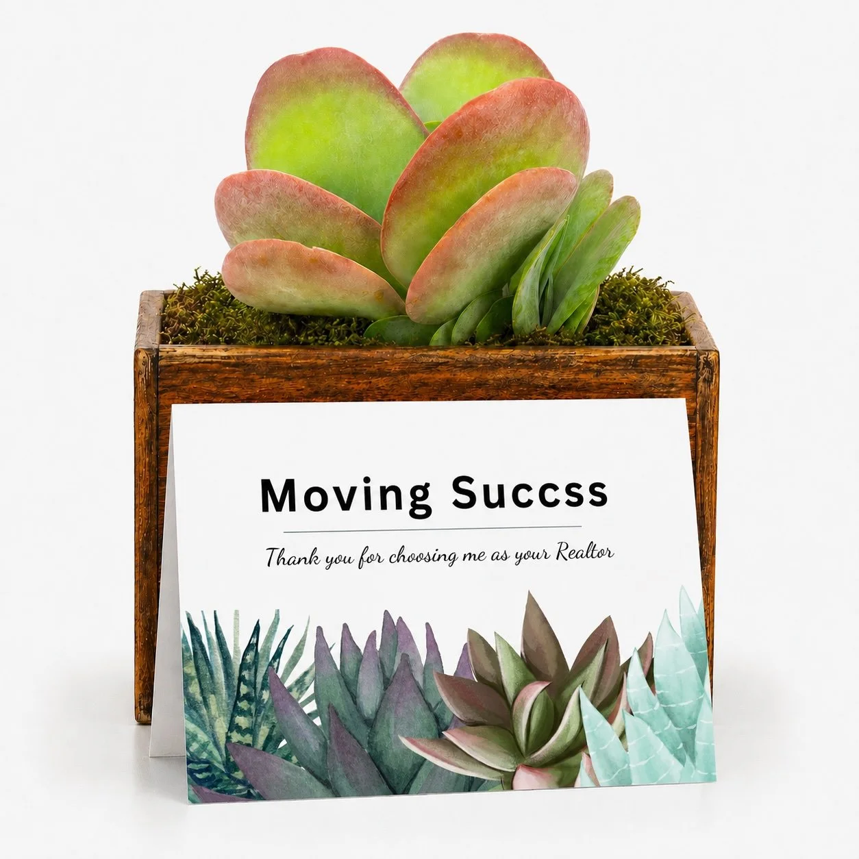 Realtor Closing Gift - Succulent with Card | Moving Succs..Thank you for choosing me as your Realtor