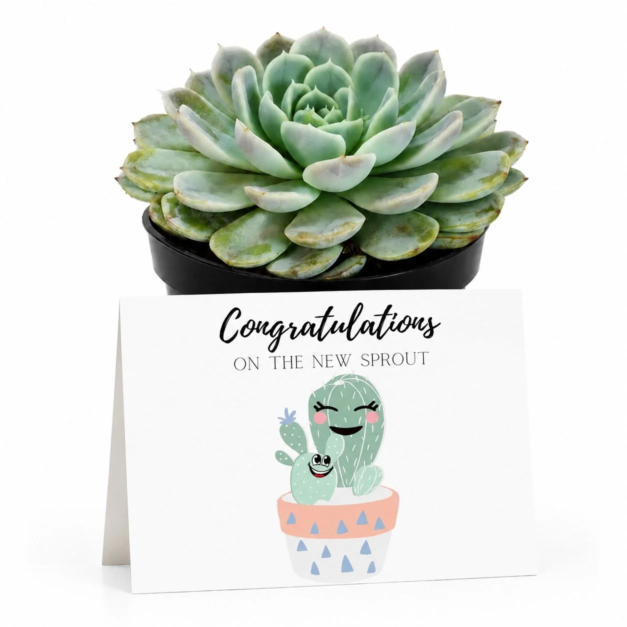 PP Congrats on your sprout.jpg