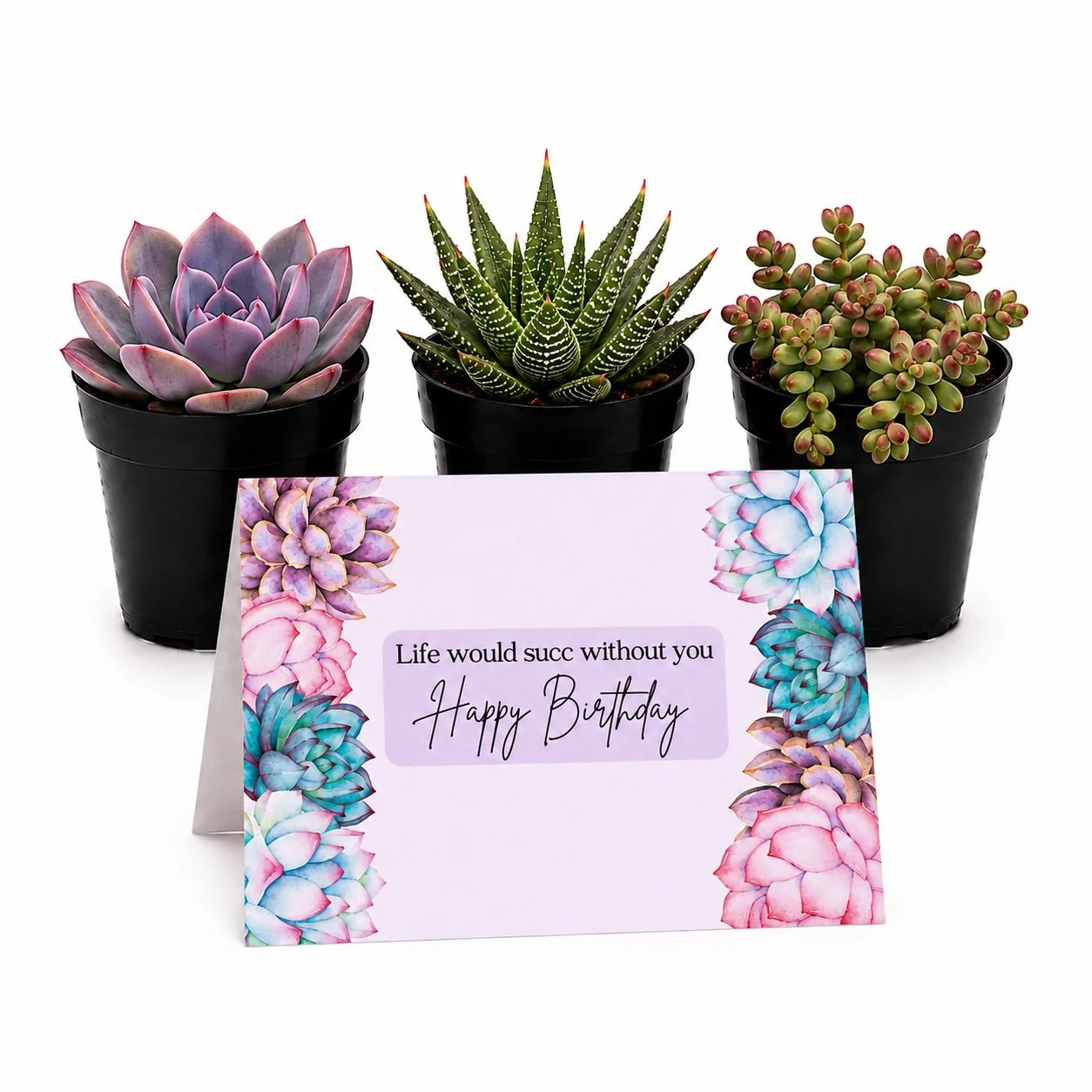 Life succ bday - trio.jpg