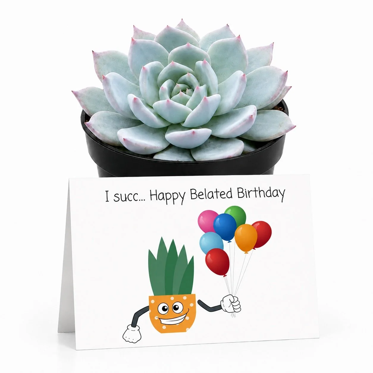 PP I succ belated bday.jpg