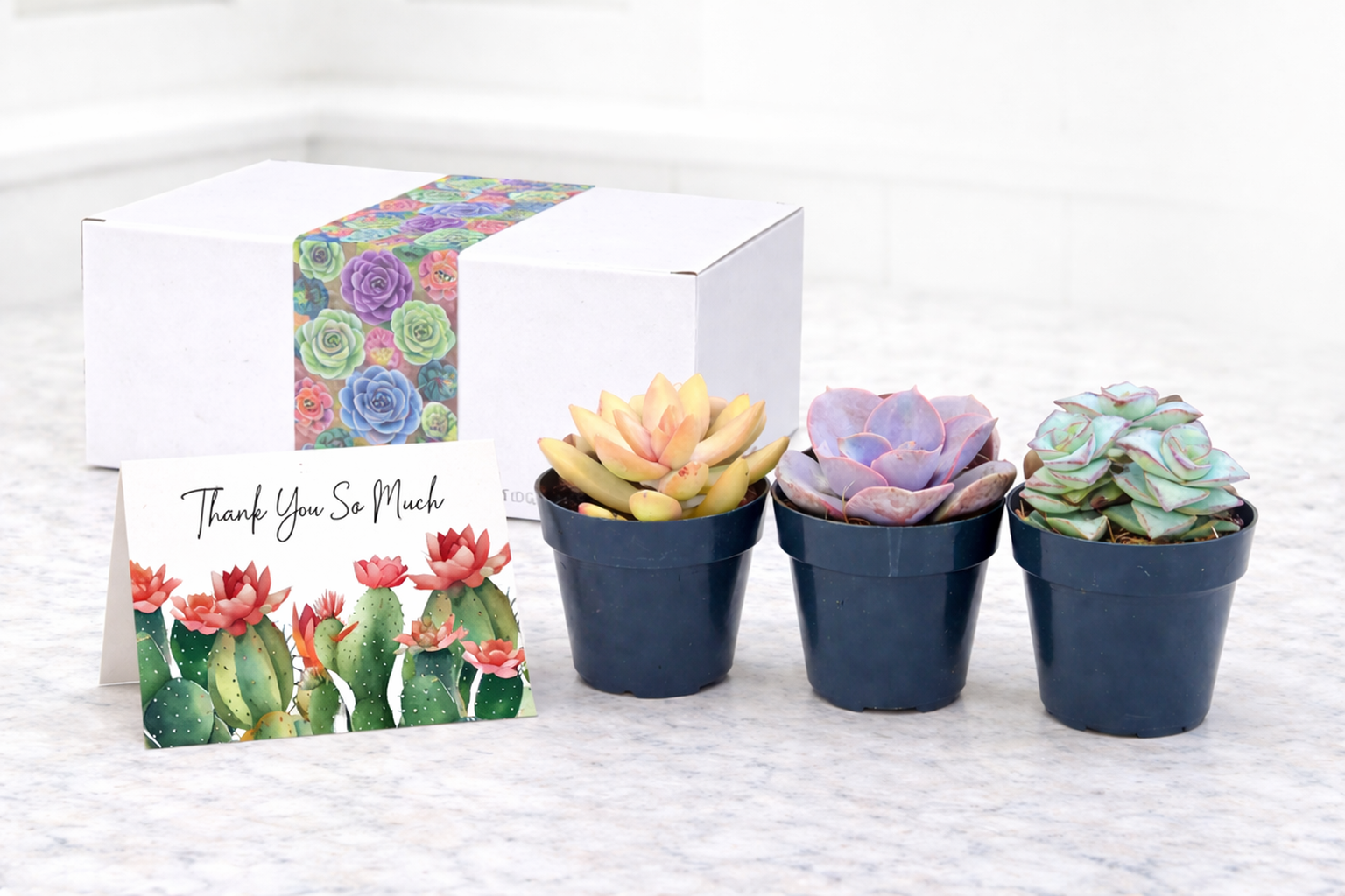 Assortment Thank so much.png