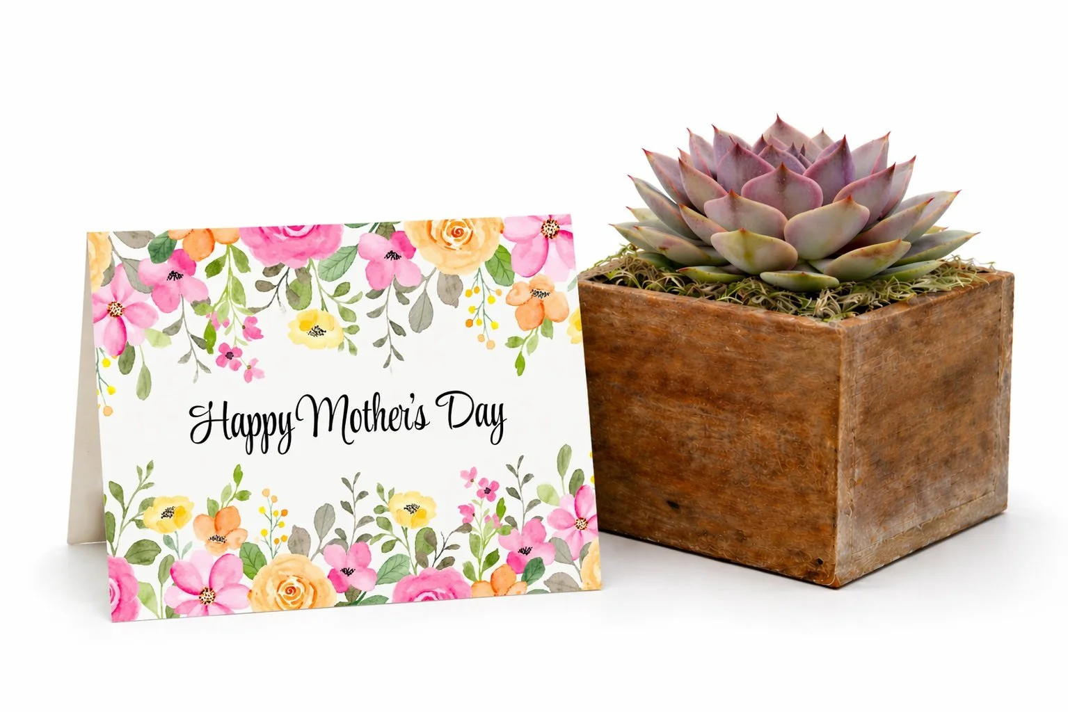 Happy Mother's Day | Mother's Day Gift Succulent and Card