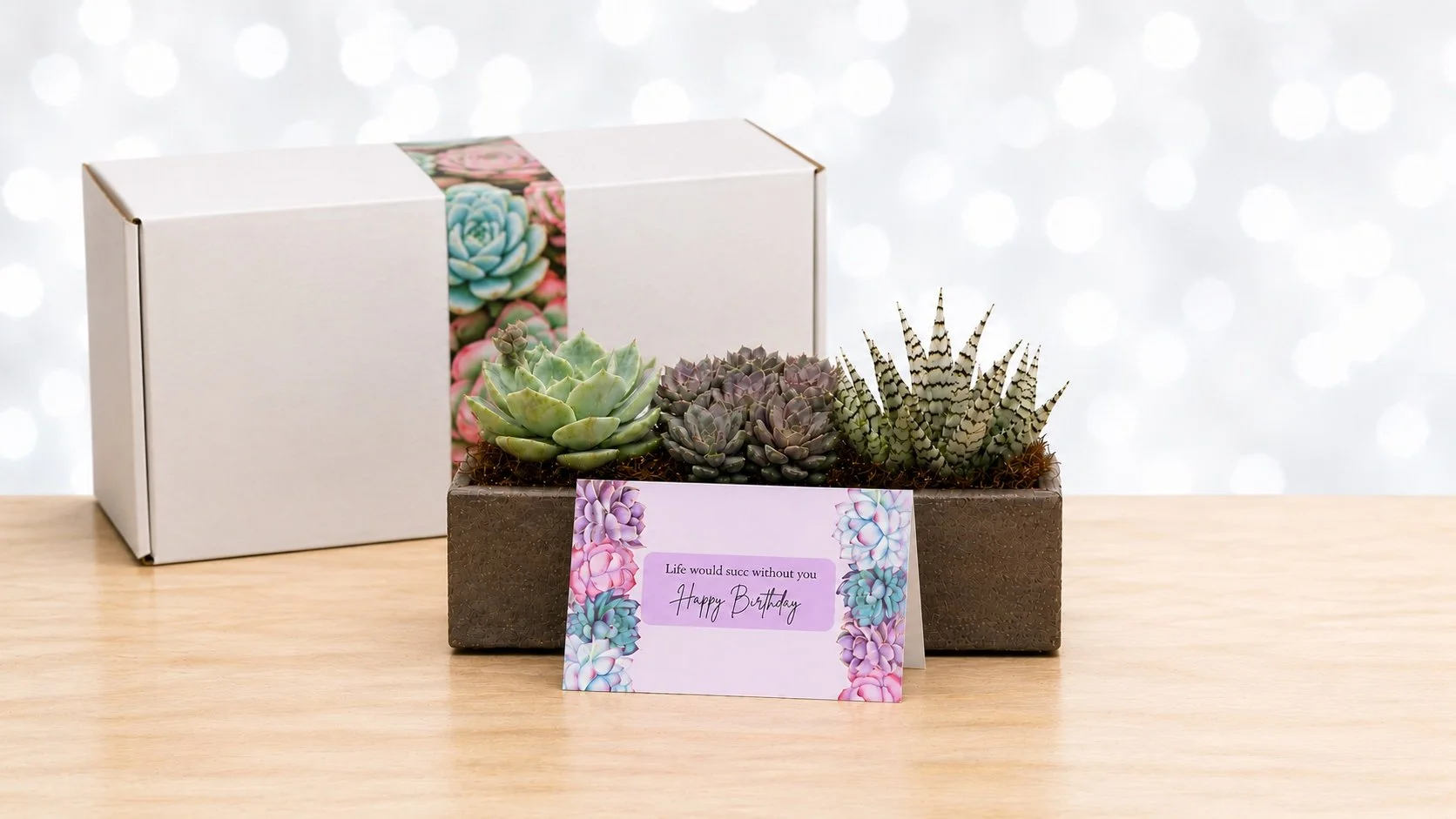 Plant Gifts Delivered