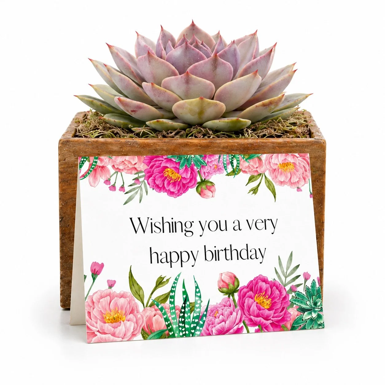 Birthday plant gifts delivered nationwide