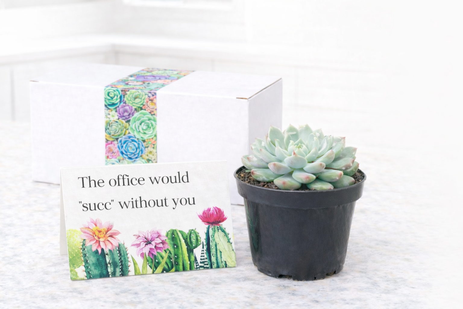 single - THe office.png