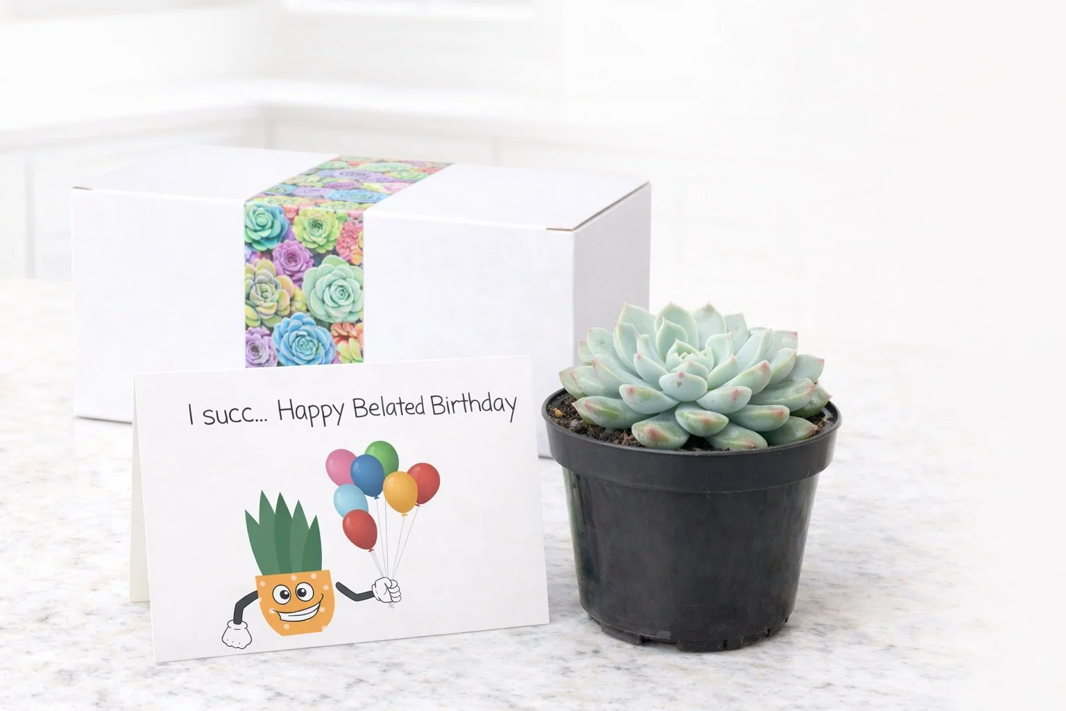 PP- I Succ Happy Bday.jpg