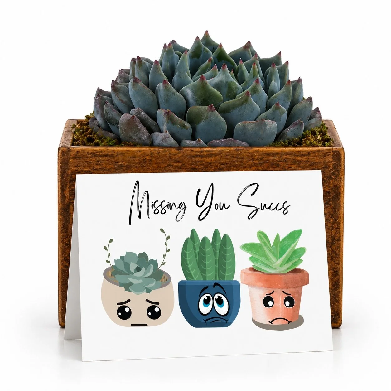 Missing you succs.jpg