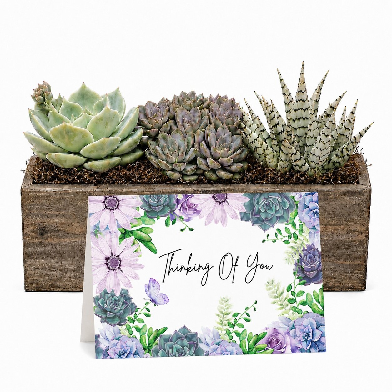My Life Would Succ Without You ...Happy Birthday | Succulent Arrangement Gift
