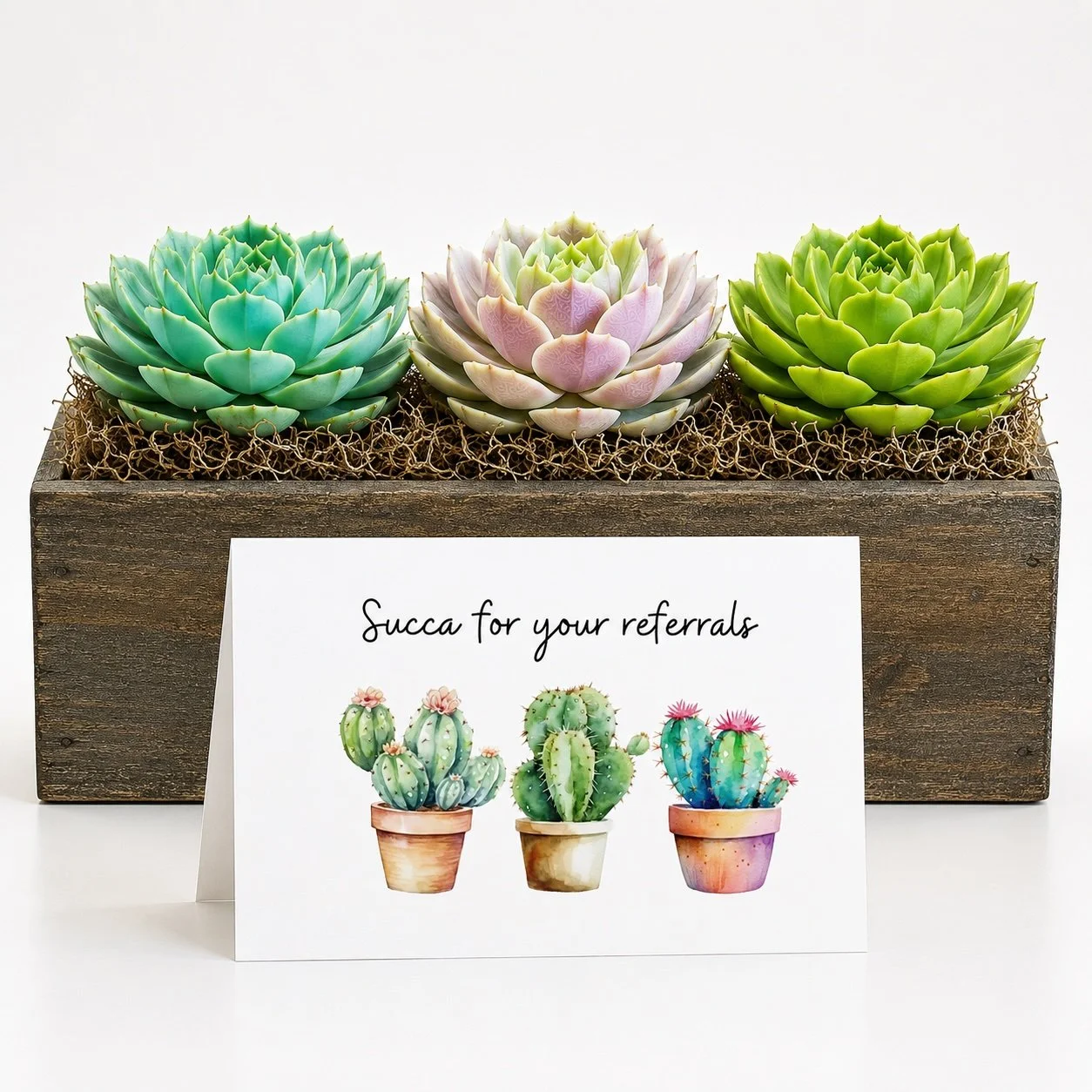 Referral Thank You Gift – Succulent with Card | Succa for Your Referrals