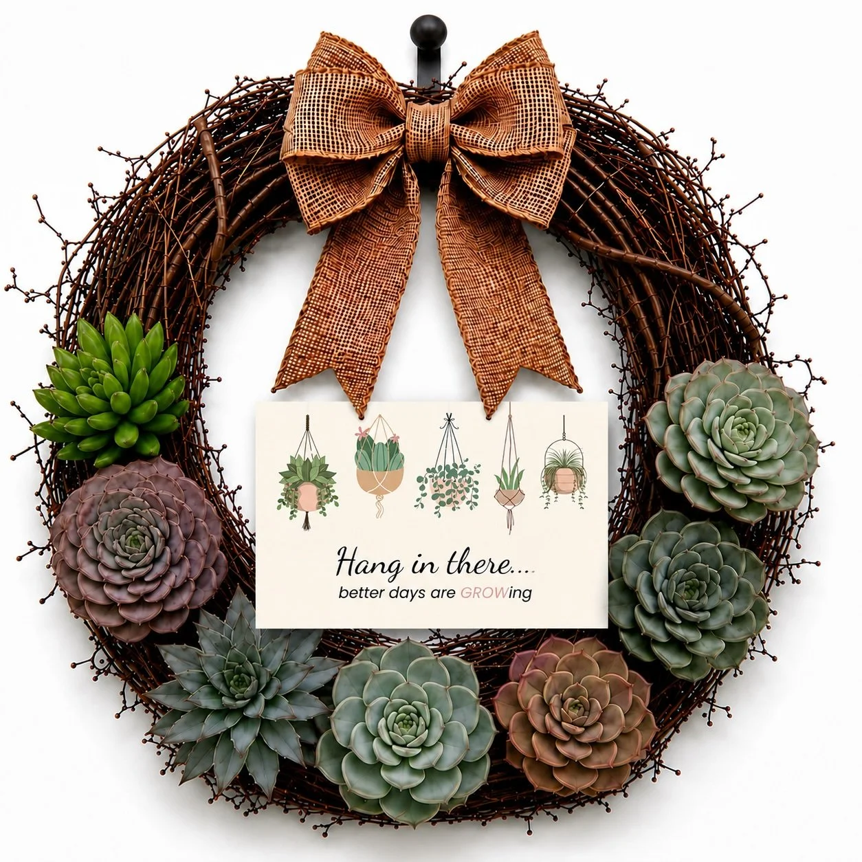 Hang In There...Better Days Are Growing | Succulent Wreath Gift