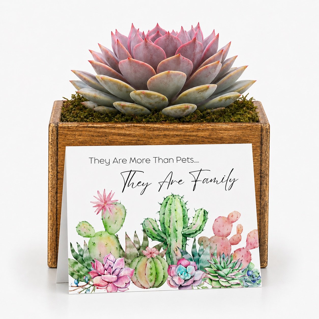 Pets are family potted.jpg