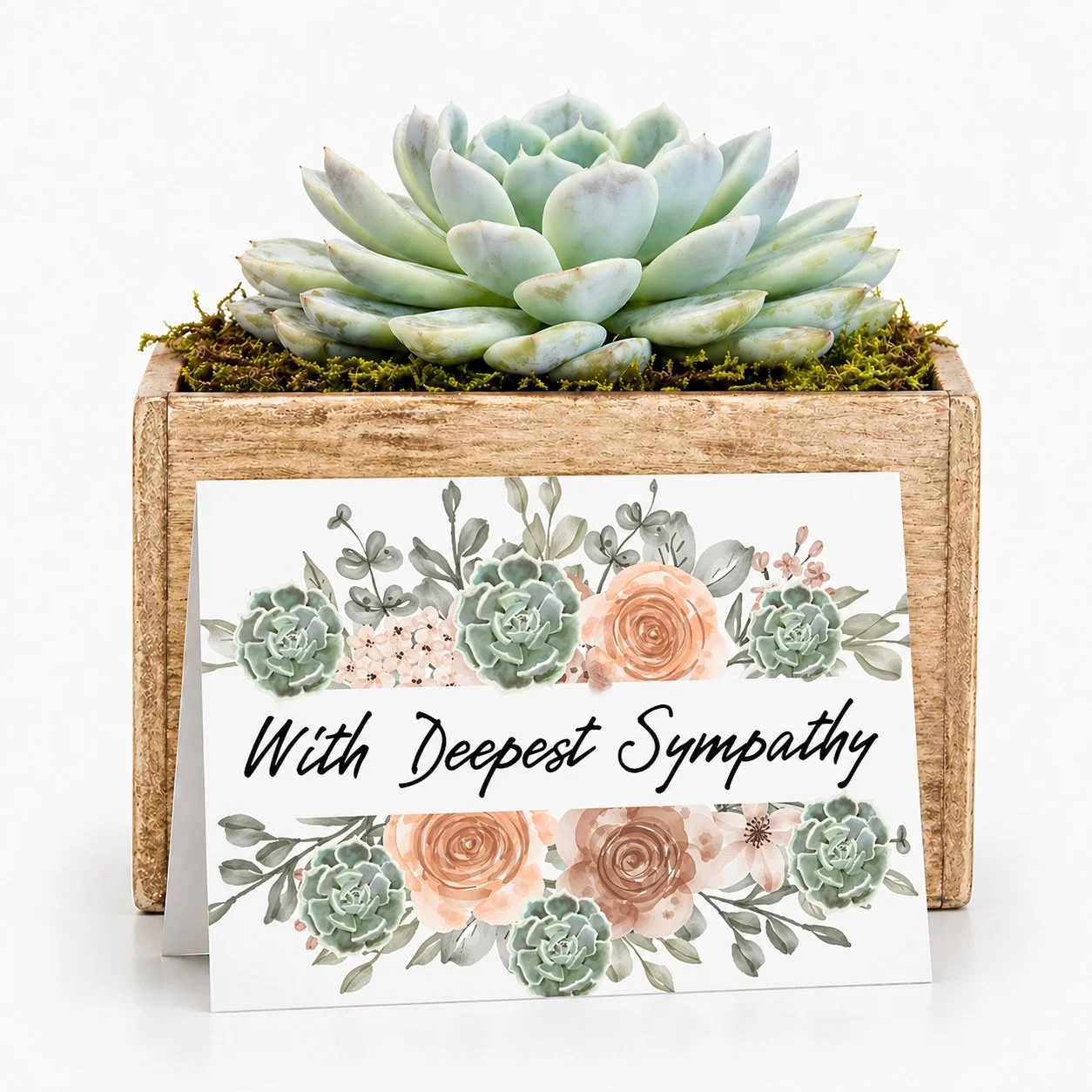 with deepest sympathy.jpg