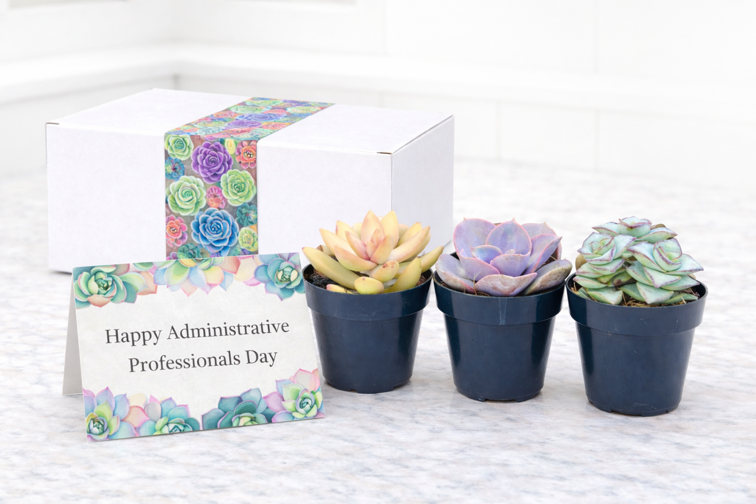 Assorted - Happy admin.png