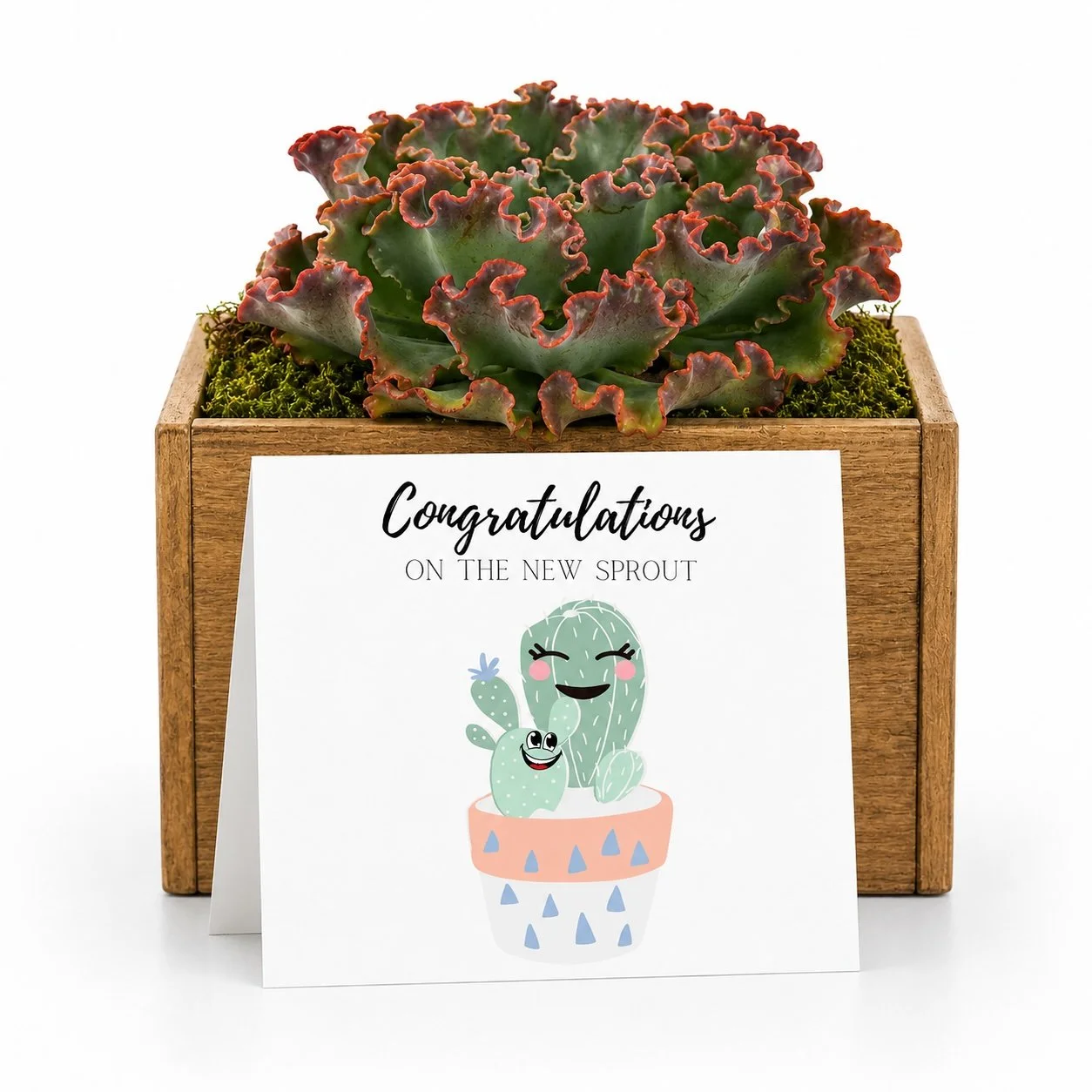 congrats sprout.jpg