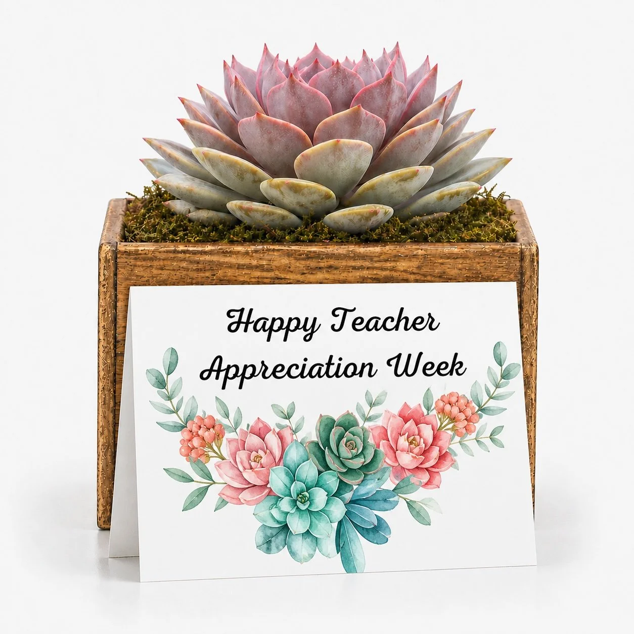 Teacher Thank You gift - Succulent with Card | Happy Teacher Appreciation Week