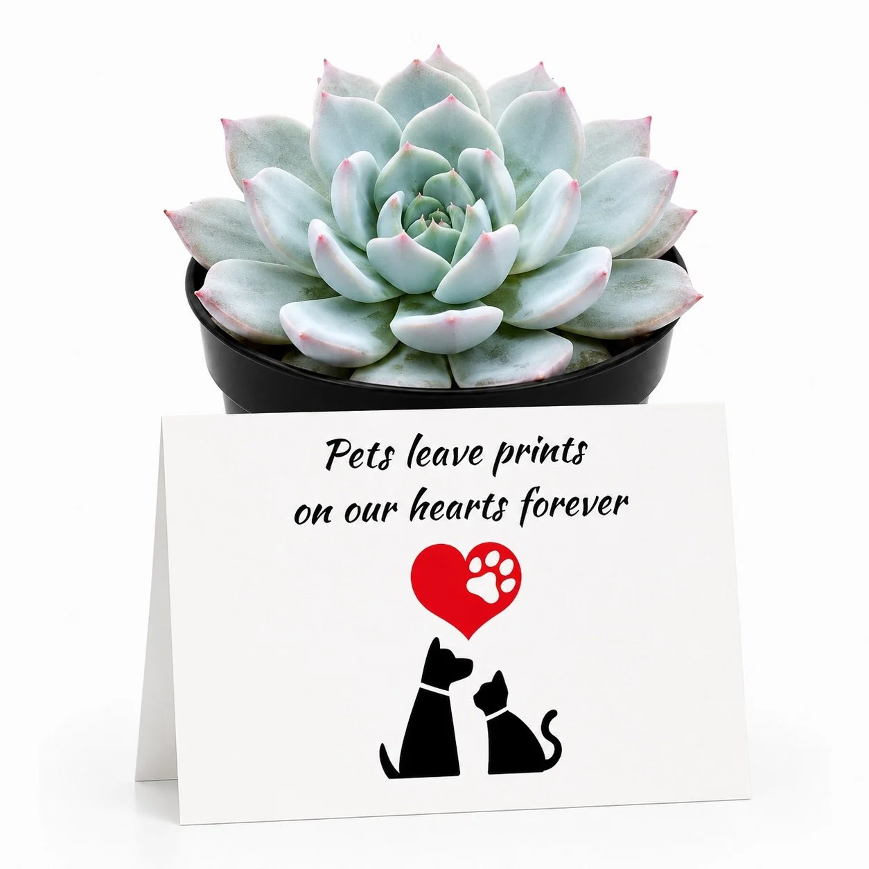 pp pets leave prints.jpg
