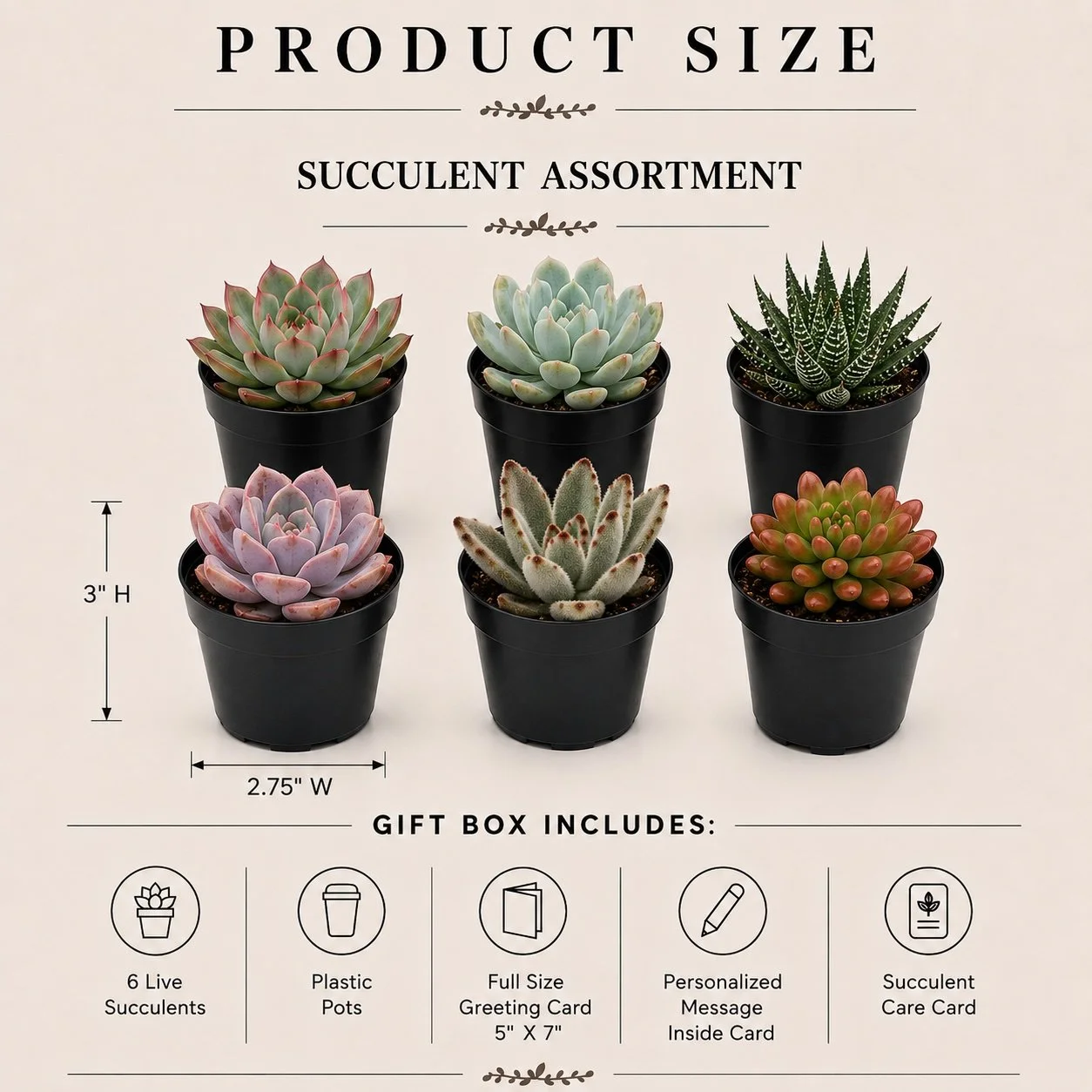 Assortment Spec.jpg (Copy)