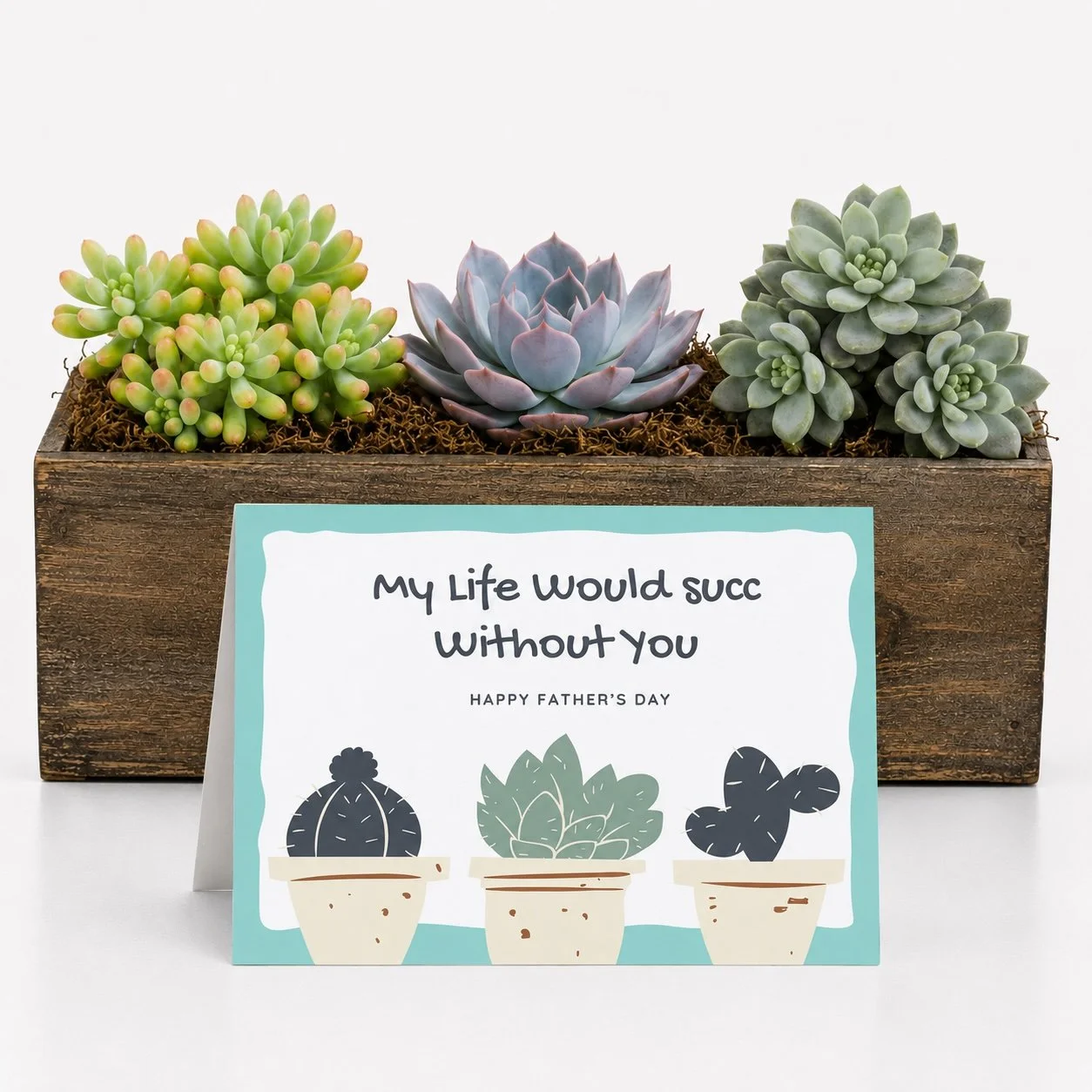 Father's Day Succulent Gift | My Life Would Succ Without You