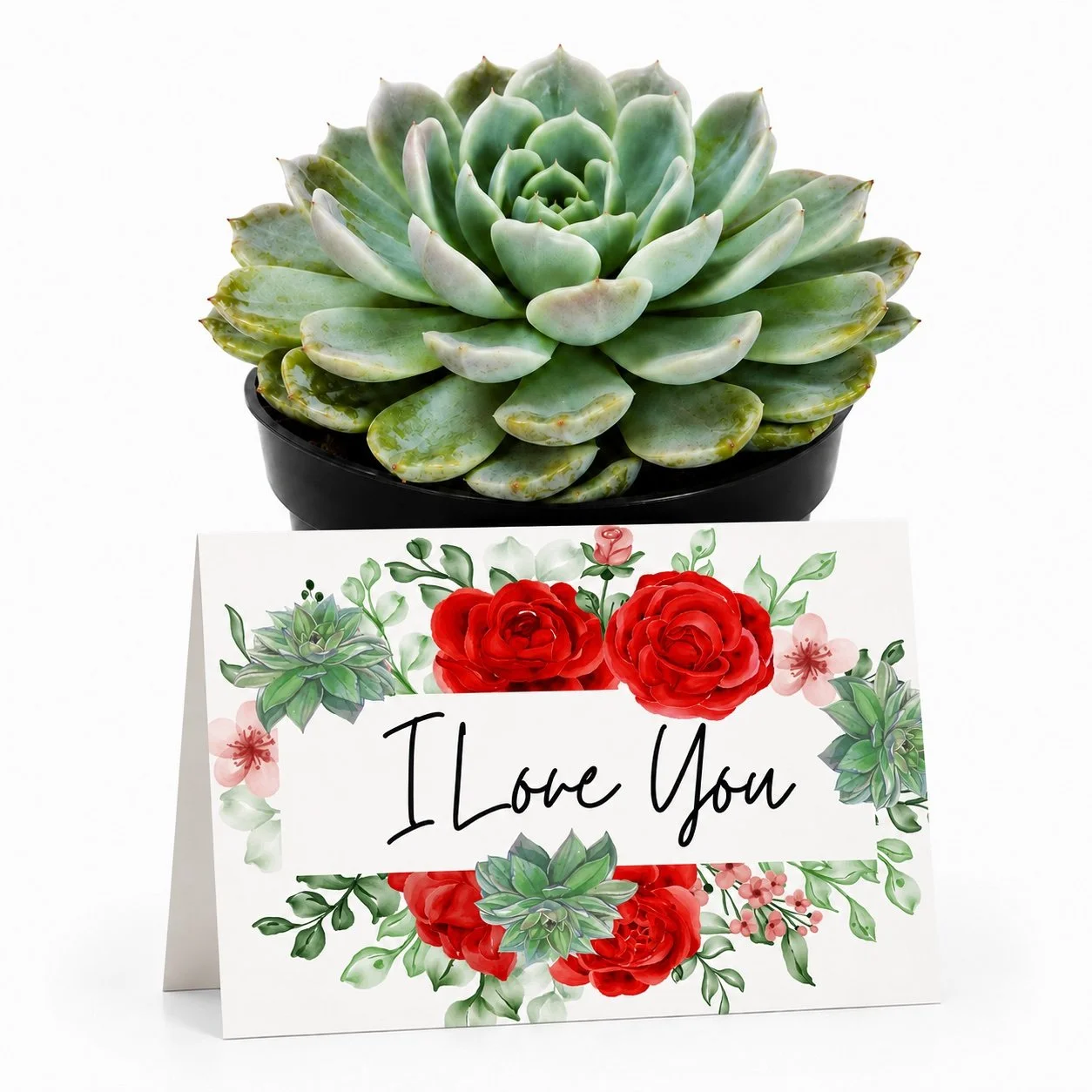 PP I love you.jpg