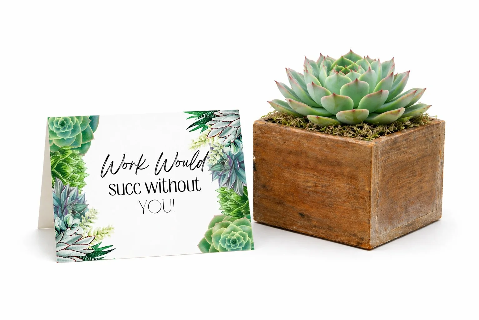 Co-Worker Gifts | Work Would Succ Without You