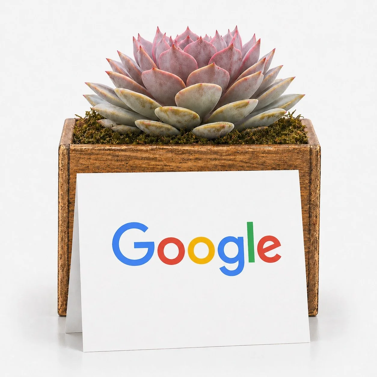 Corporate gifts with branded logo