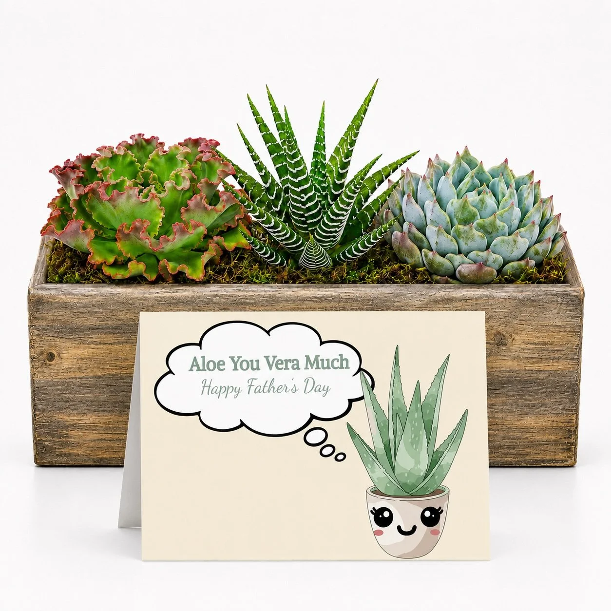 Arrangement aloe vera love much.jpg