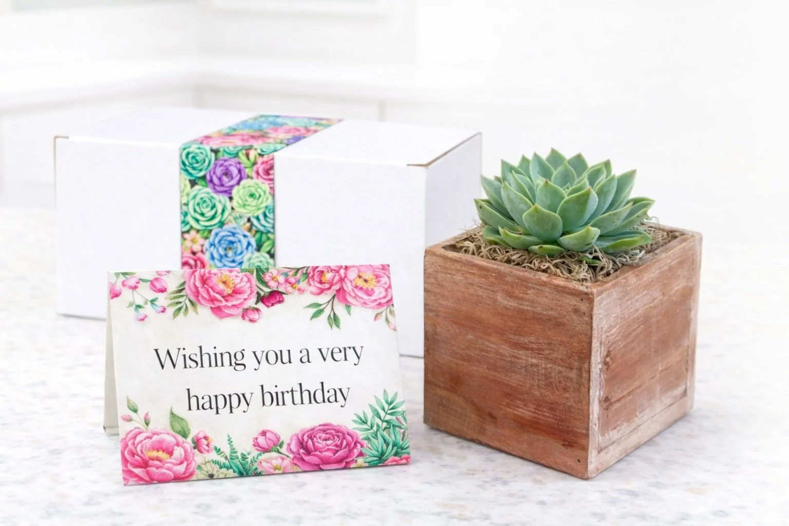 Happy Birthday Gifts | Succulent Gifts | Plant Lover Gifts