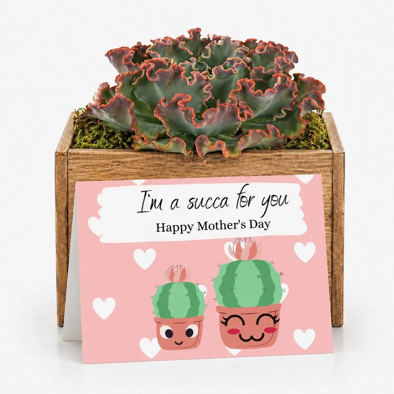 Im succa 4u mothers day.jpg
