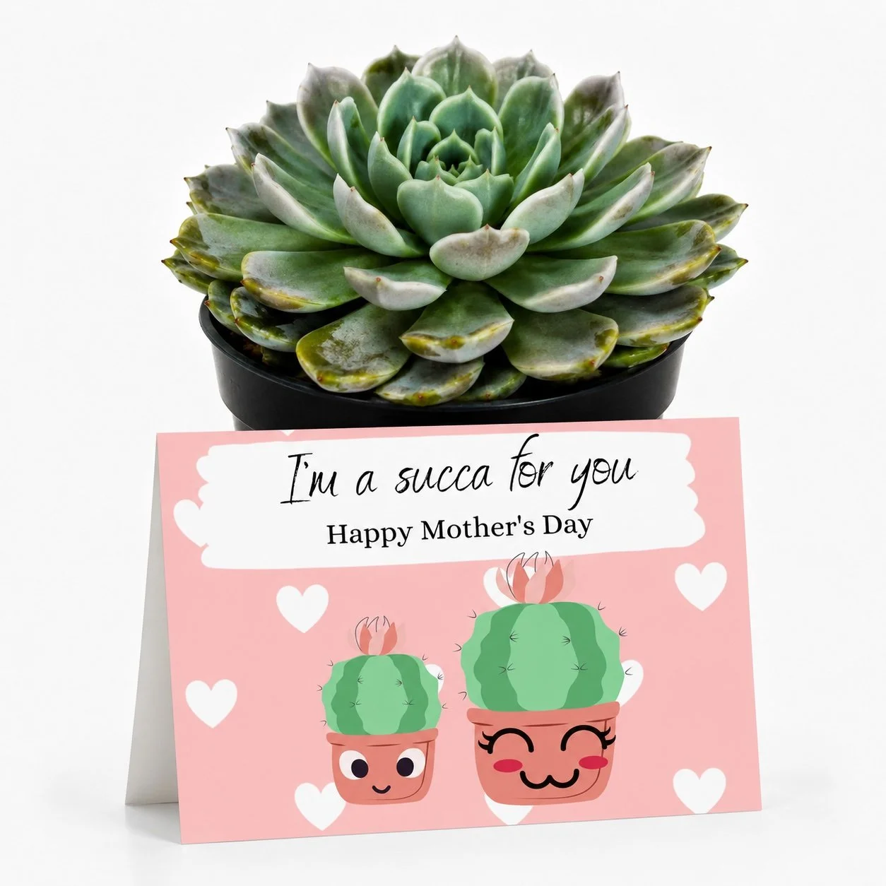 PP Mother Im a succa for you.jpg