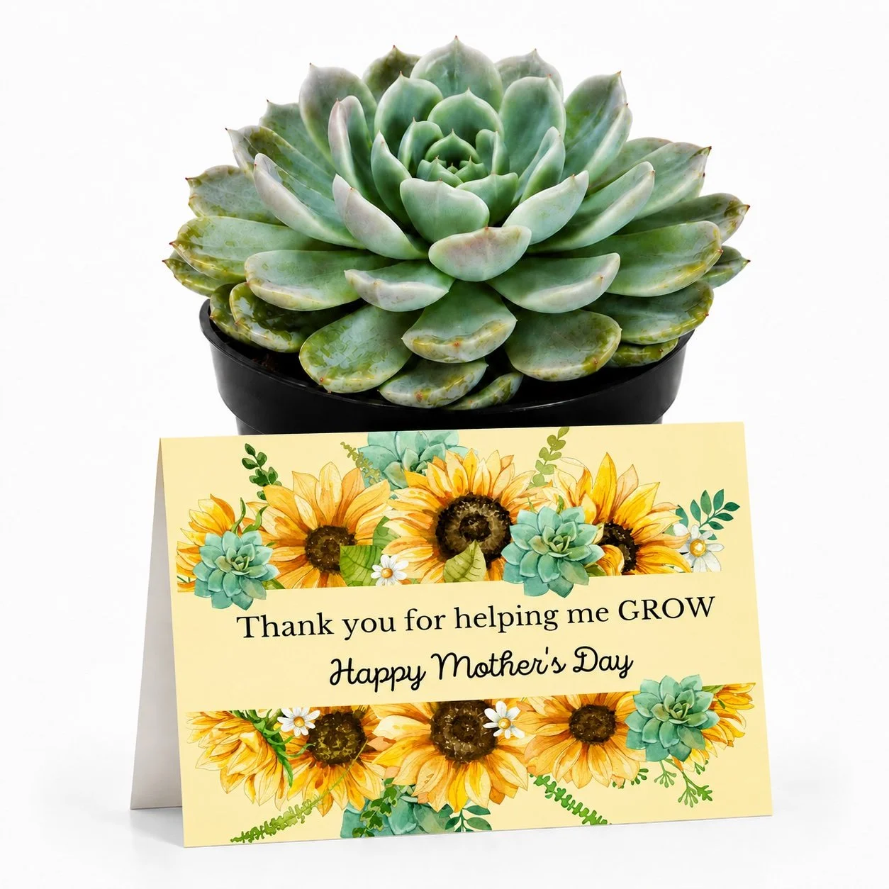 PP - Mothers Day help me grow.jpg