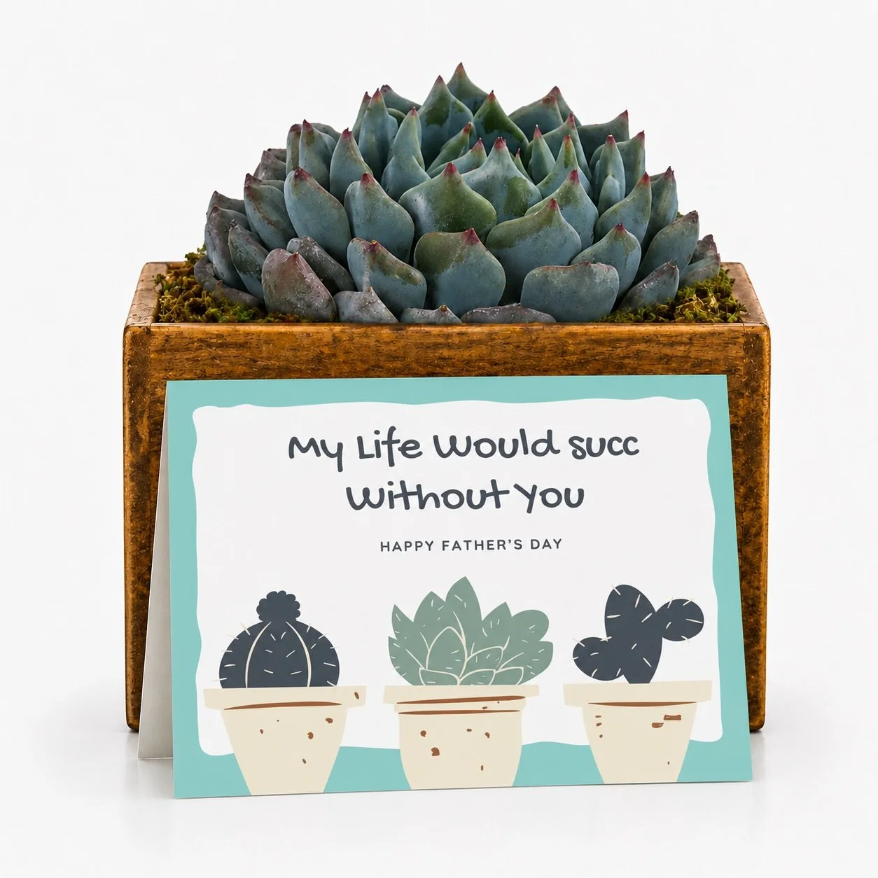 My life would succ.jpg