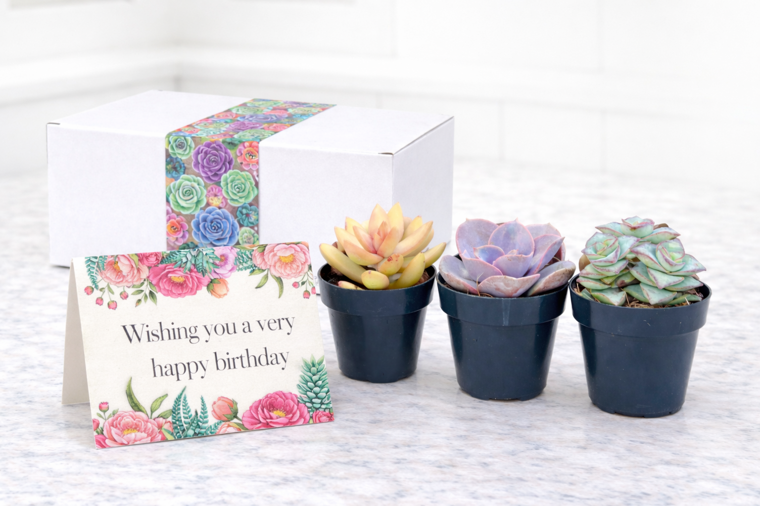 ChatGPT Image Mar 26, 2026, 03_17_52 PM.png