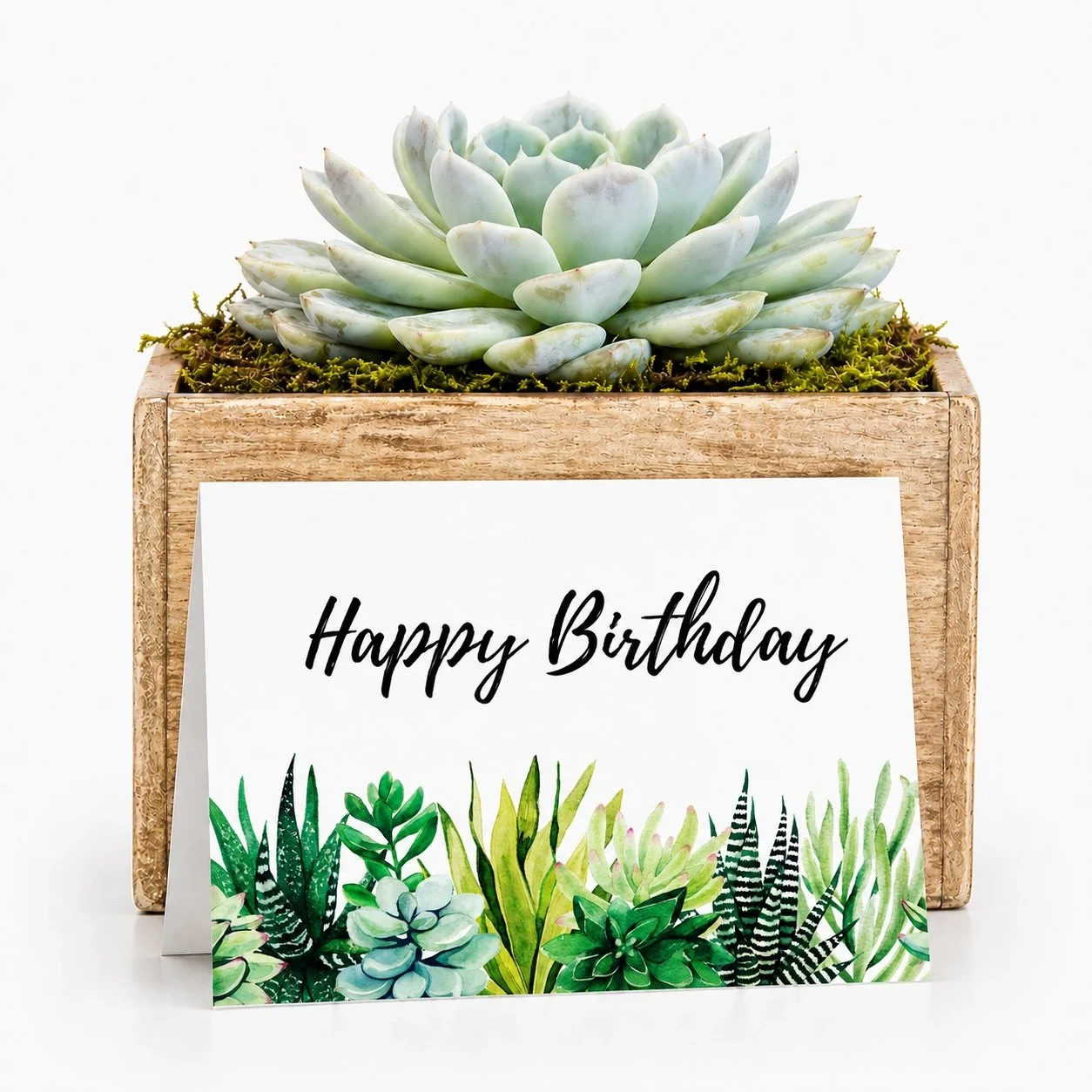 Happy bday.jpg