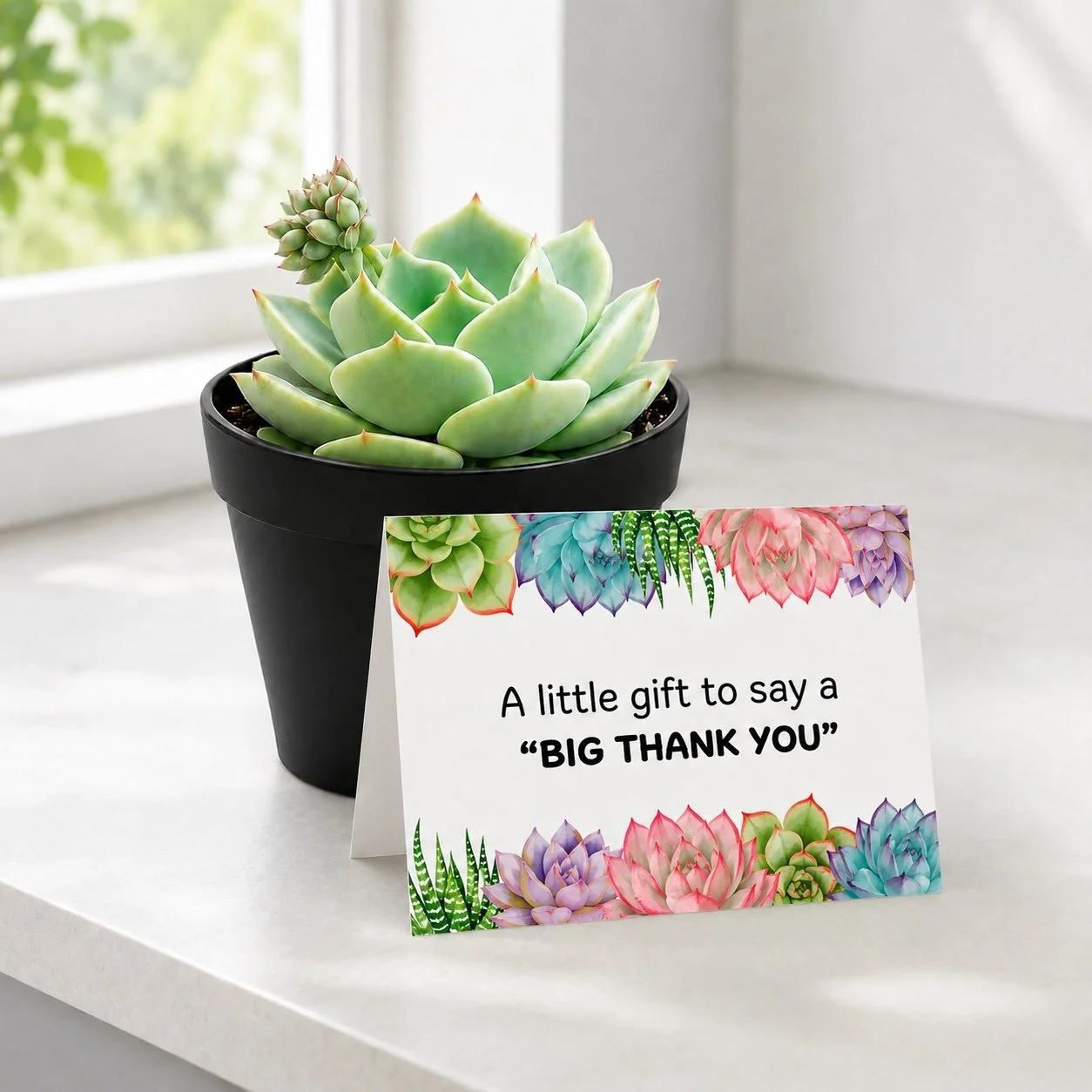 Little gift - Real.jpg