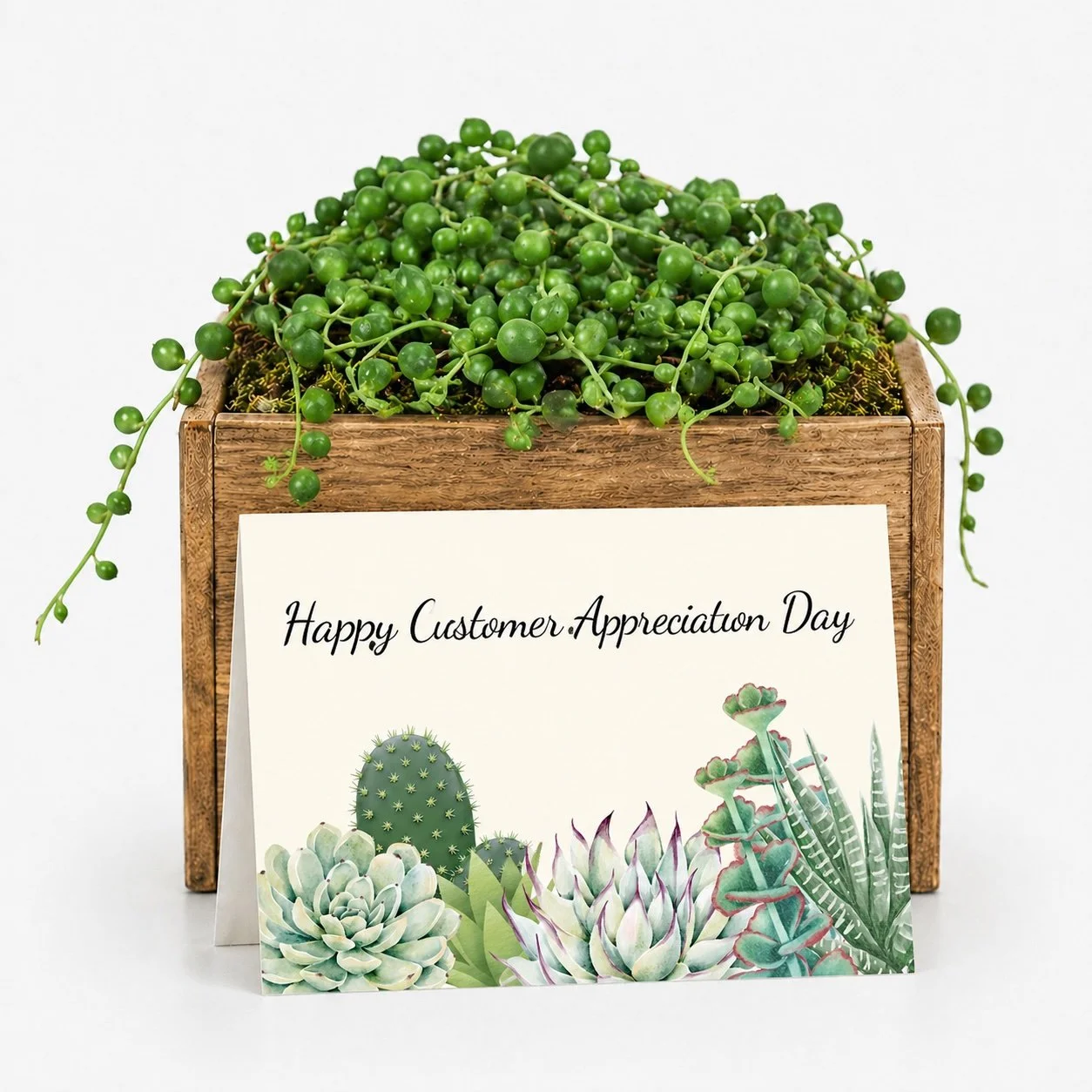Customer Appreciation Day Gift - Succulent with Card | Happy Customer Appreciation Day