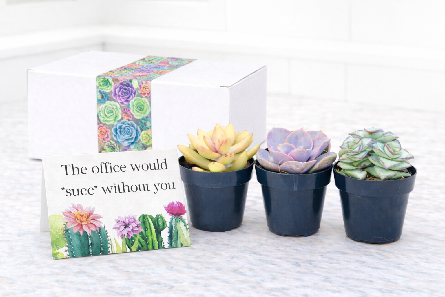 Assorted - The office.png