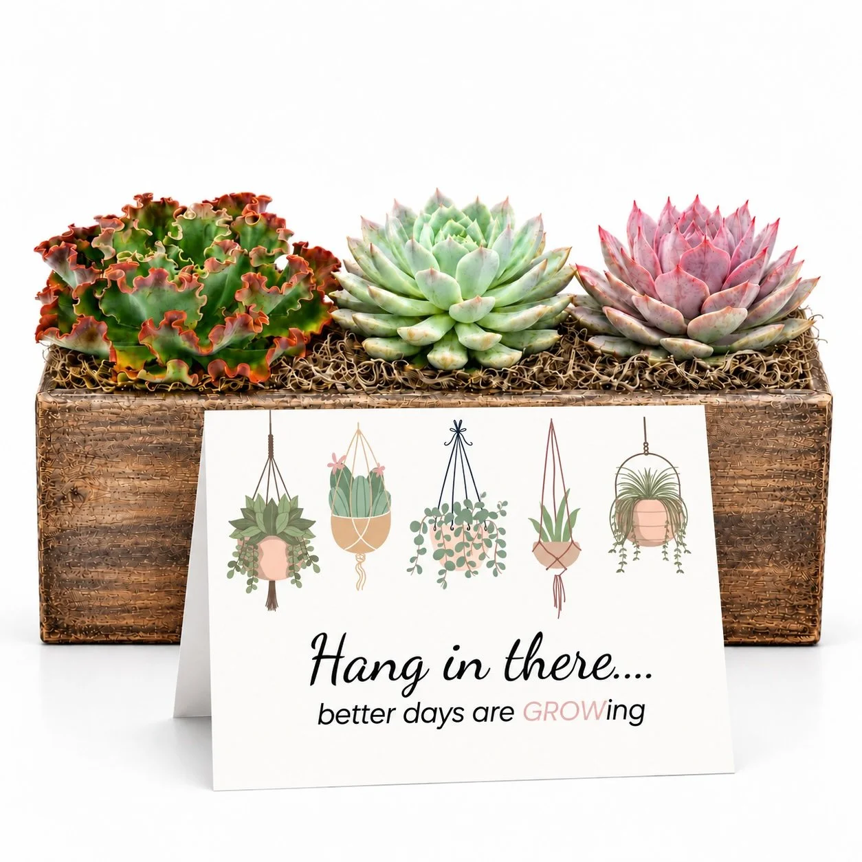 Better days growing - Arrangement.jpg