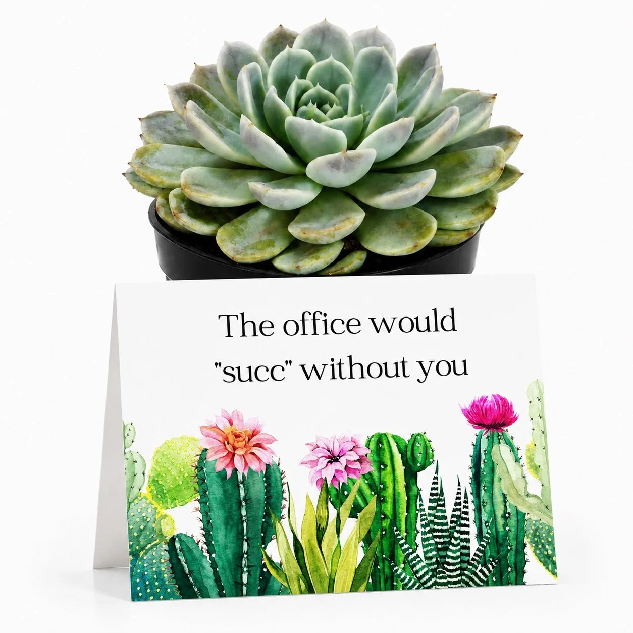 PP The office would succ.jpg
