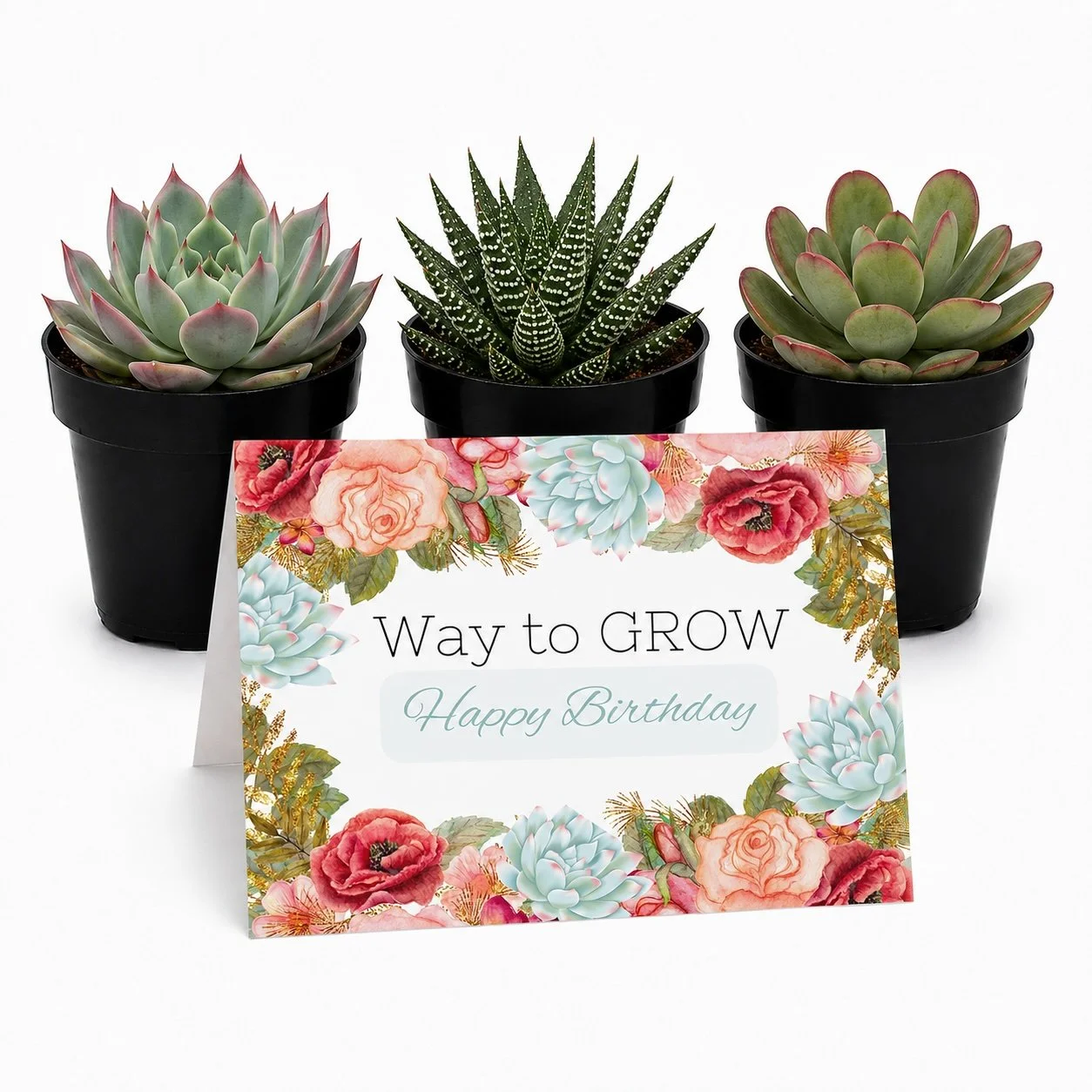 way to grow - Trio.jpg