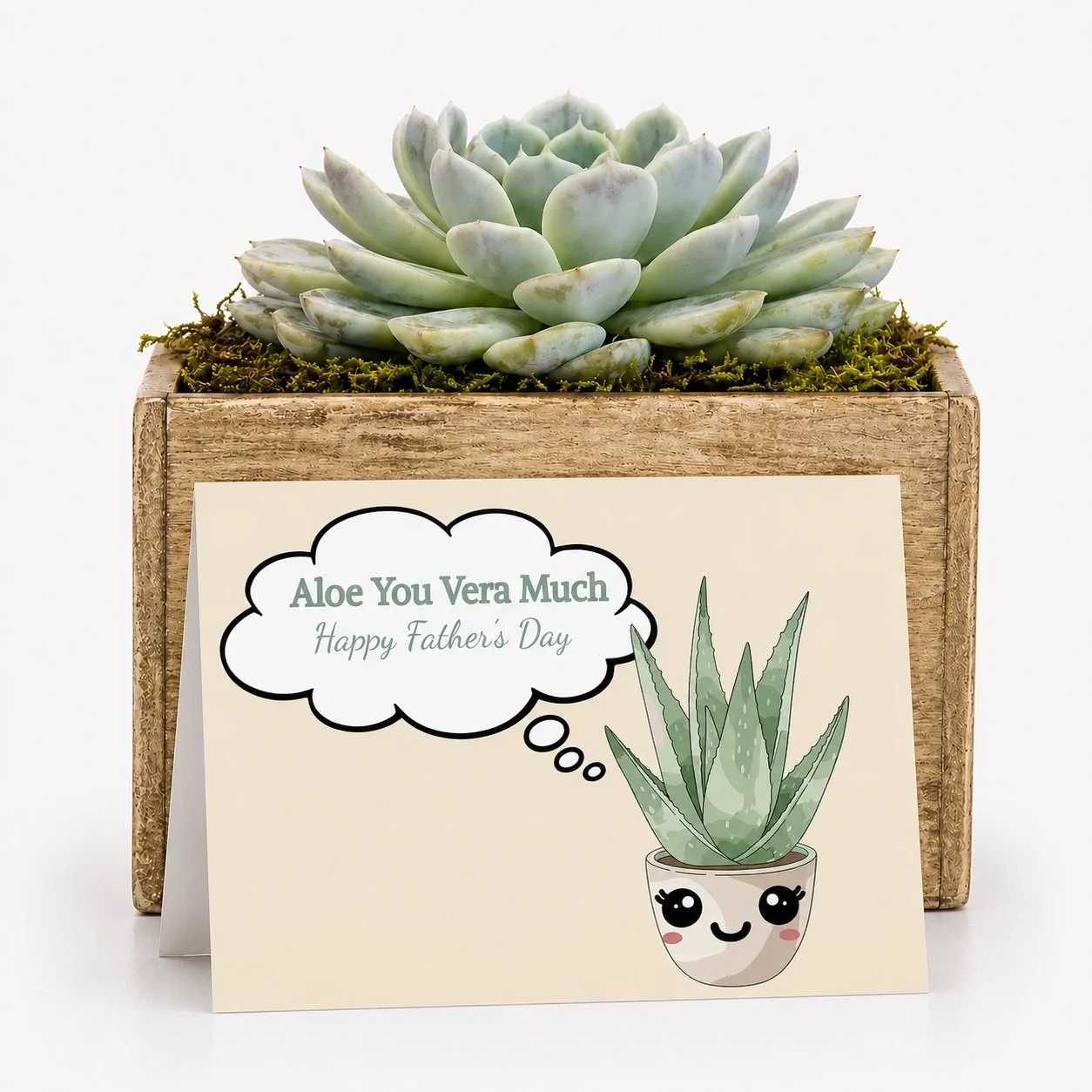 Aloe you vera much.jpg