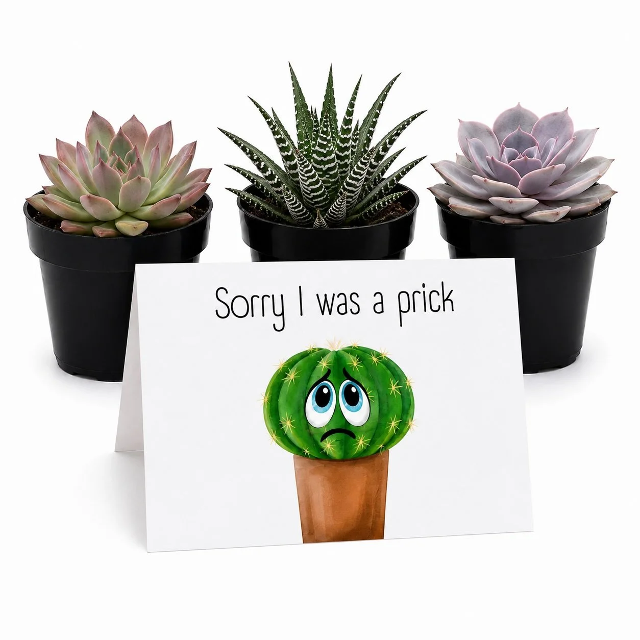 Sorry I was a prick - trio.jpg