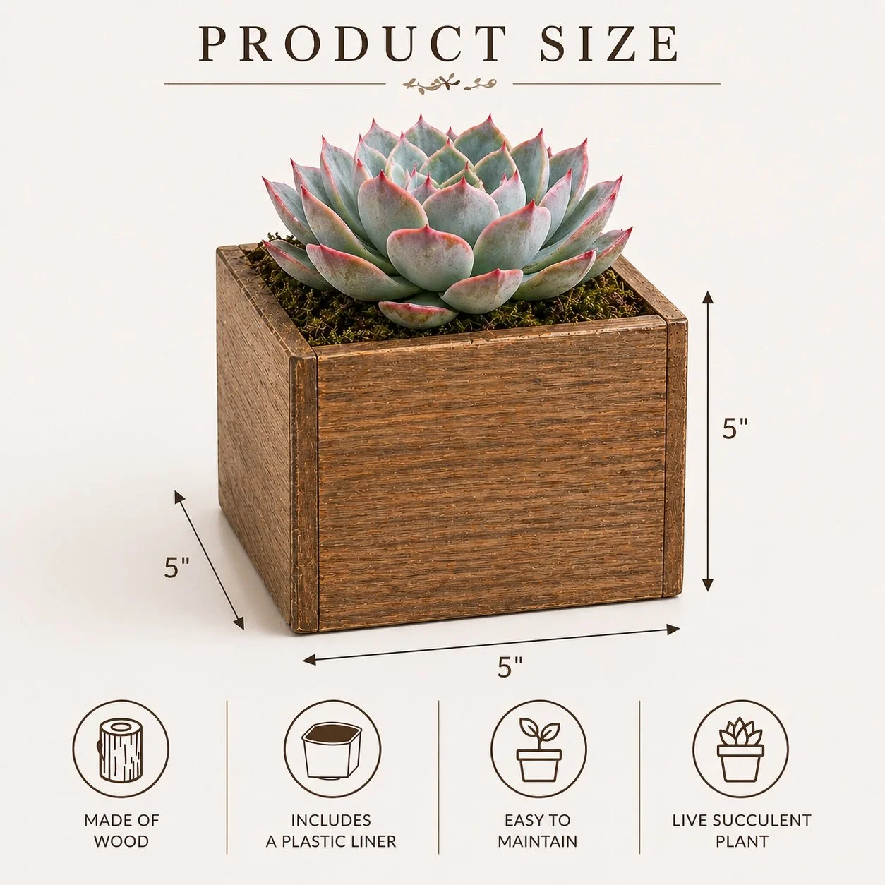 Succulent Gift Size.jpg