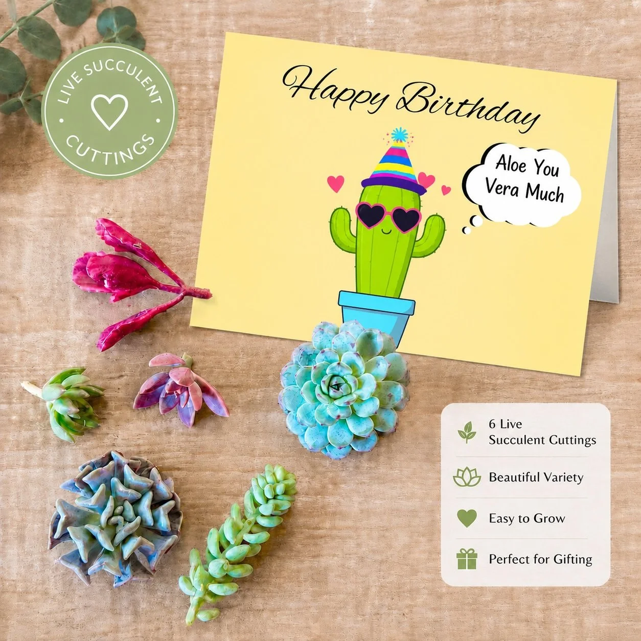 Real Happy Bday Aloe You.jpg