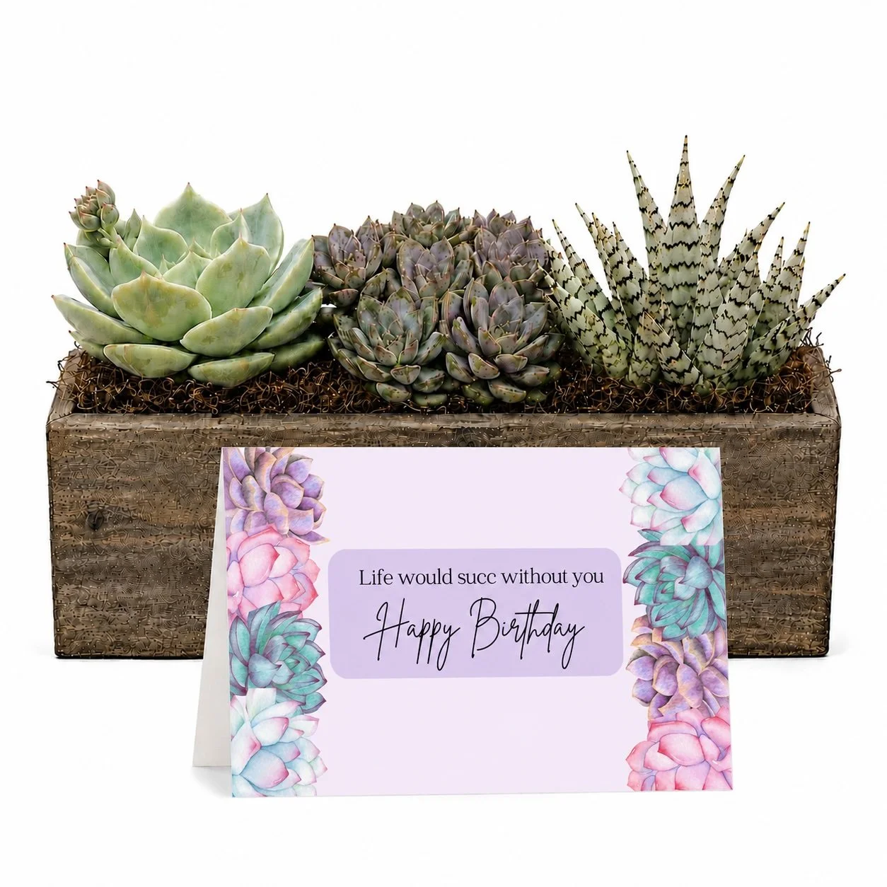 My Life Would Succ Without You ...Happy Birthday | Succulent Arrangement Gift