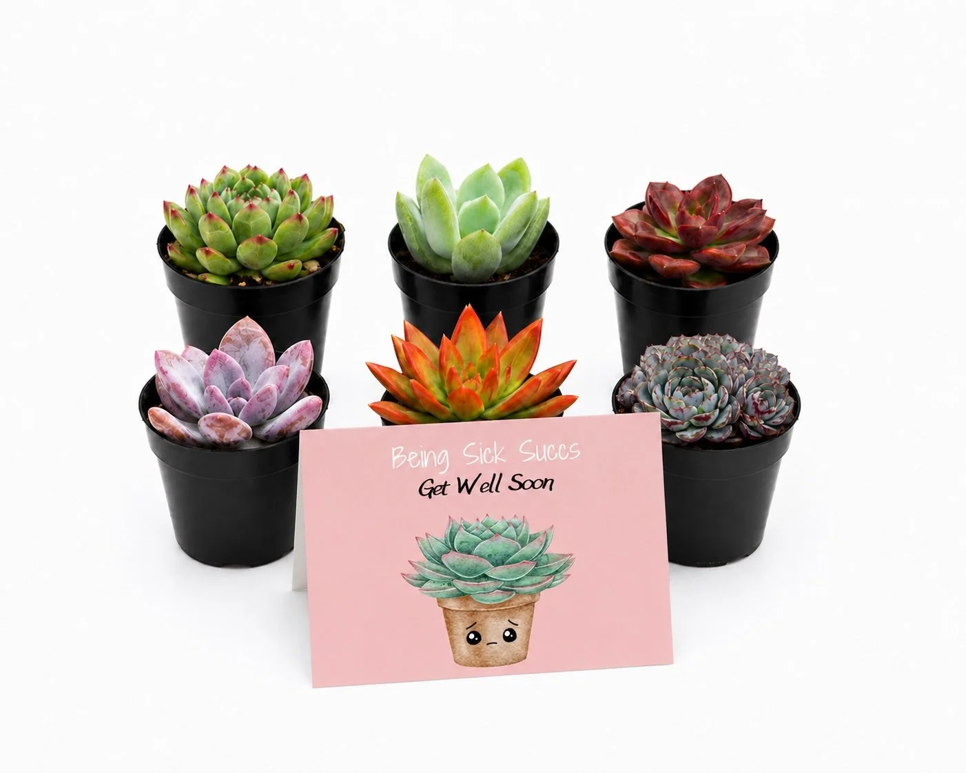Being Sick Succs Main.jpg