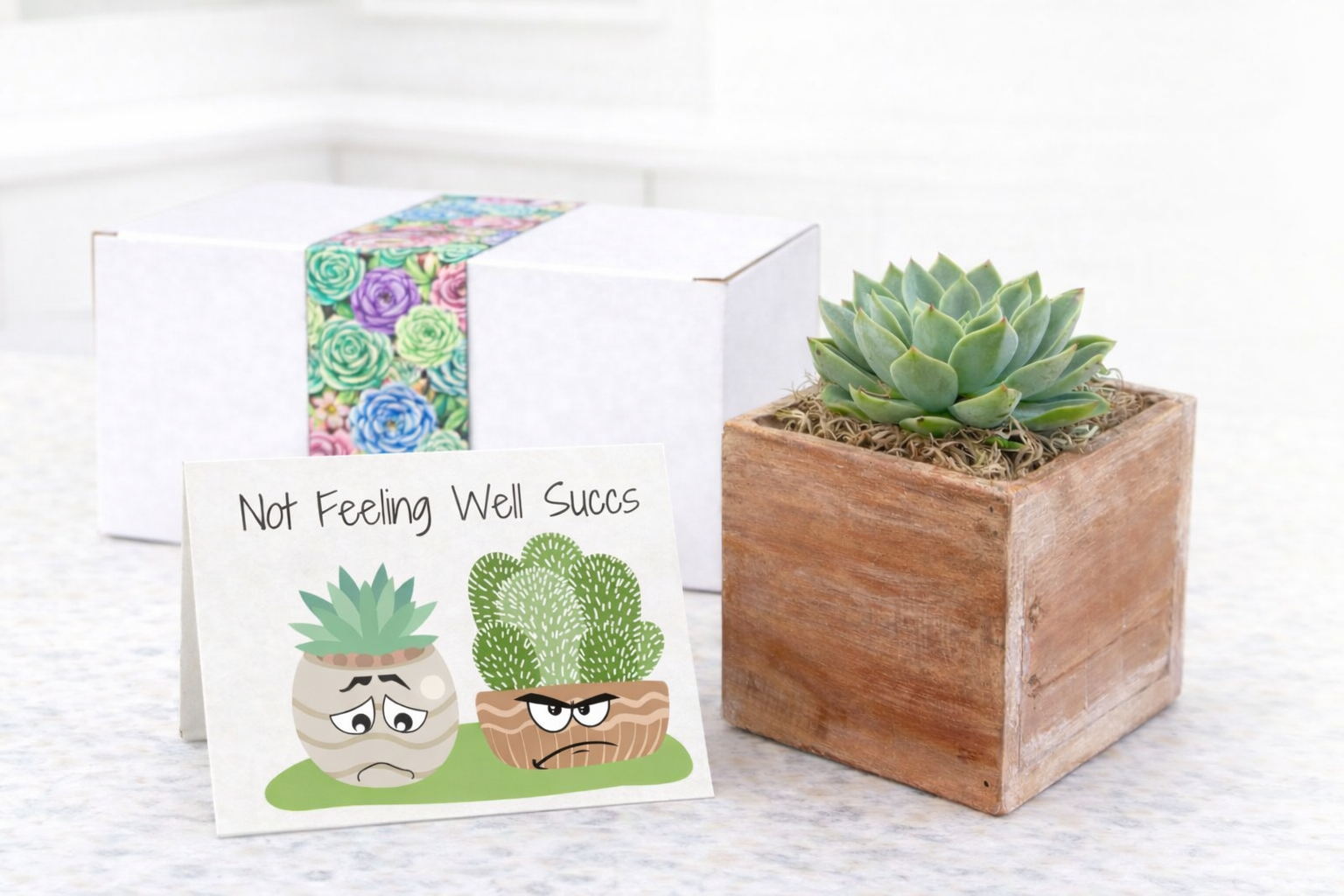 Not Feeling Well Succs | Succulent Gift & Personalized Card