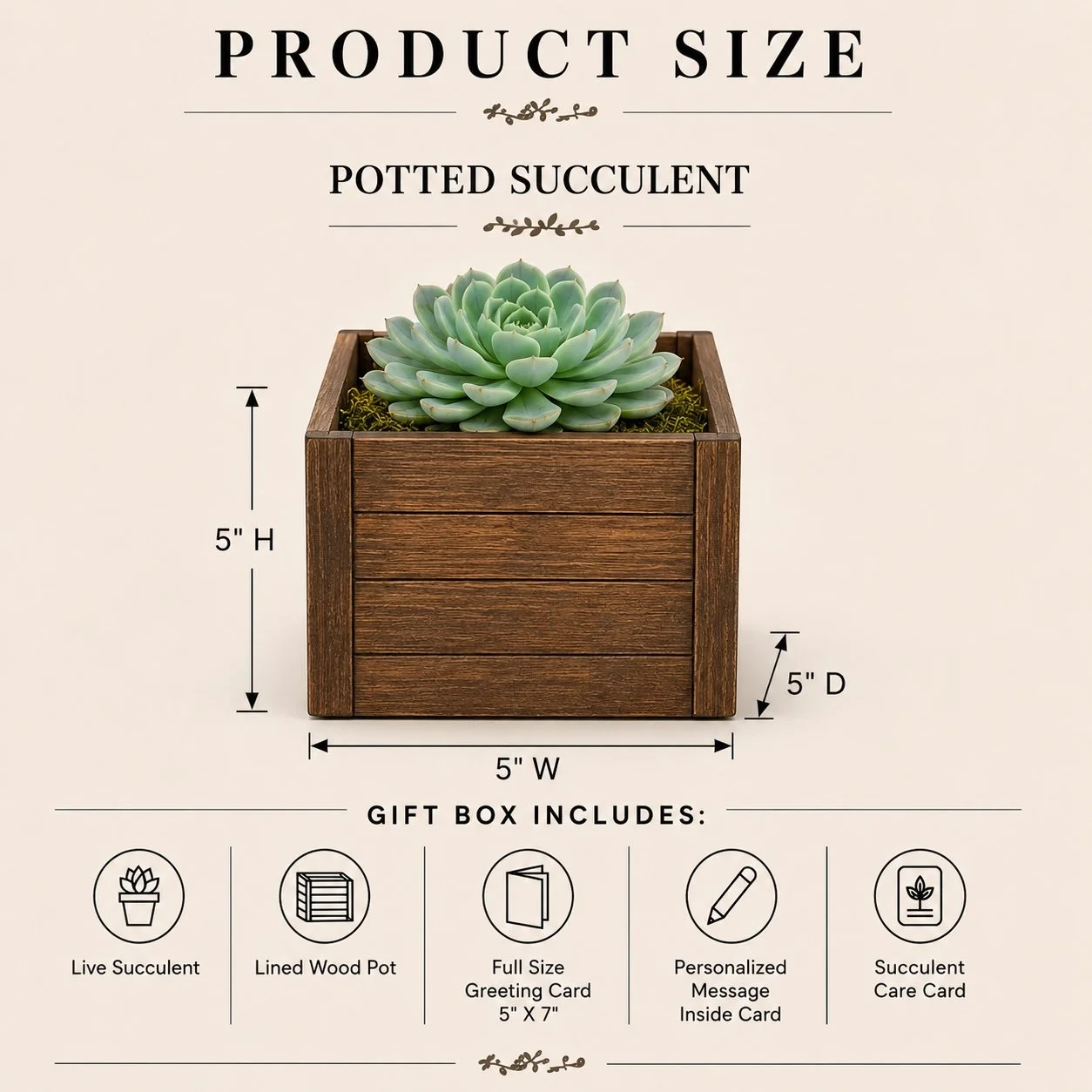Spec - Wood Pot.jpg