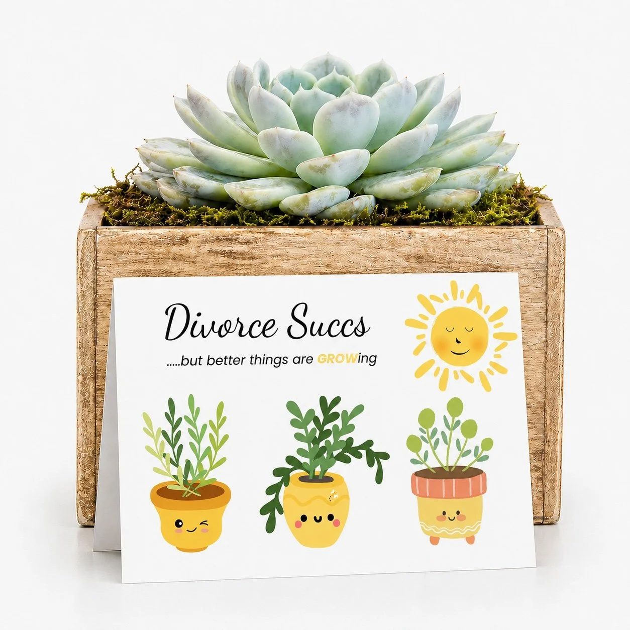 Divorce Succs.jpg